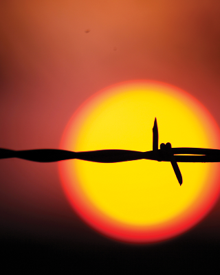 barbed wire part of fence in center of sun's glow