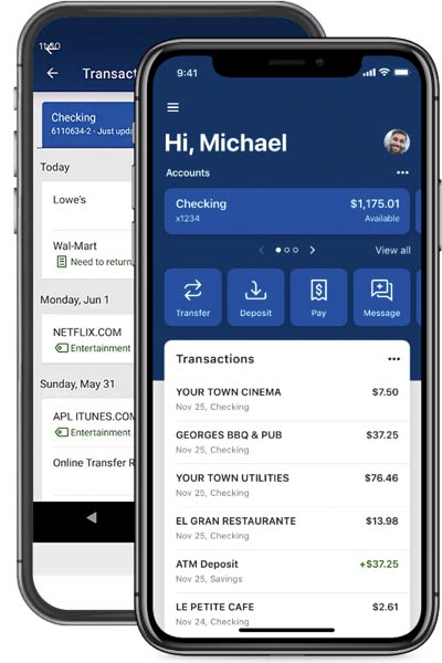 mobile device with online banking view