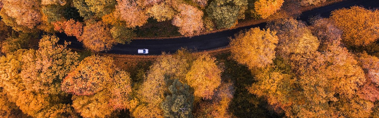 sky shot of a car driving through a road in the autumn season