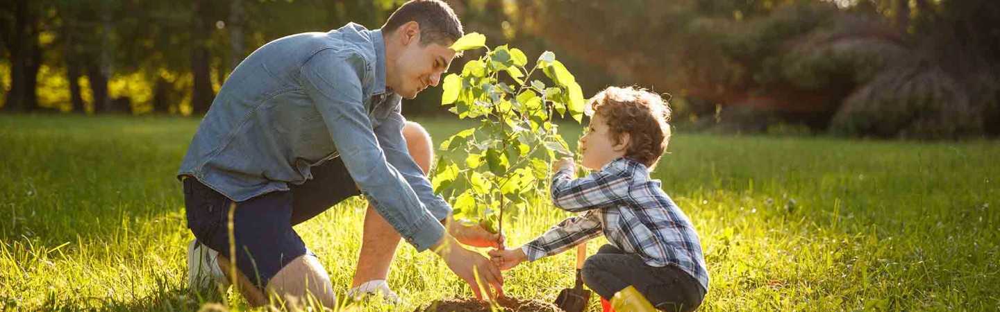 father and son planting a tree